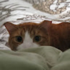 Meet your Posher, Victoria